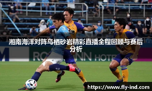 湘南海洋对阵鸟栖砂岩精彩直播全程回顾与赛后分析