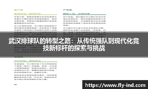 武汉排球队的转型之路：从传统强队到现代化竞技新标杆的探索与挑战