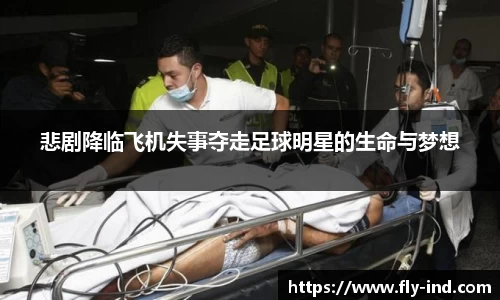 悲剧降临飞机失事夺走足球明星的生命与梦想