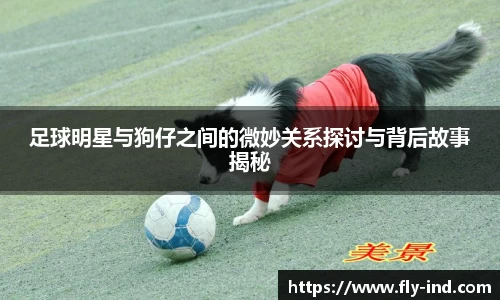 足球明星与狗仔之间的微妙关系探讨与背后故事揭秘