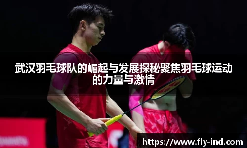 武汉羽毛球队的崛起与发展探秘聚焦羽毛球运动的力量与激情