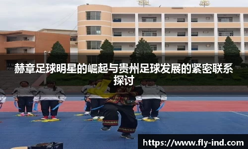赫章足球明星的崛起与贵州足球发展的紧密联系探讨