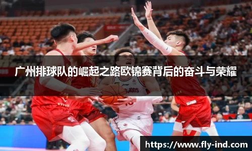 广州排球队的崛起之路欧锦赛背后的奋斗与荣耀